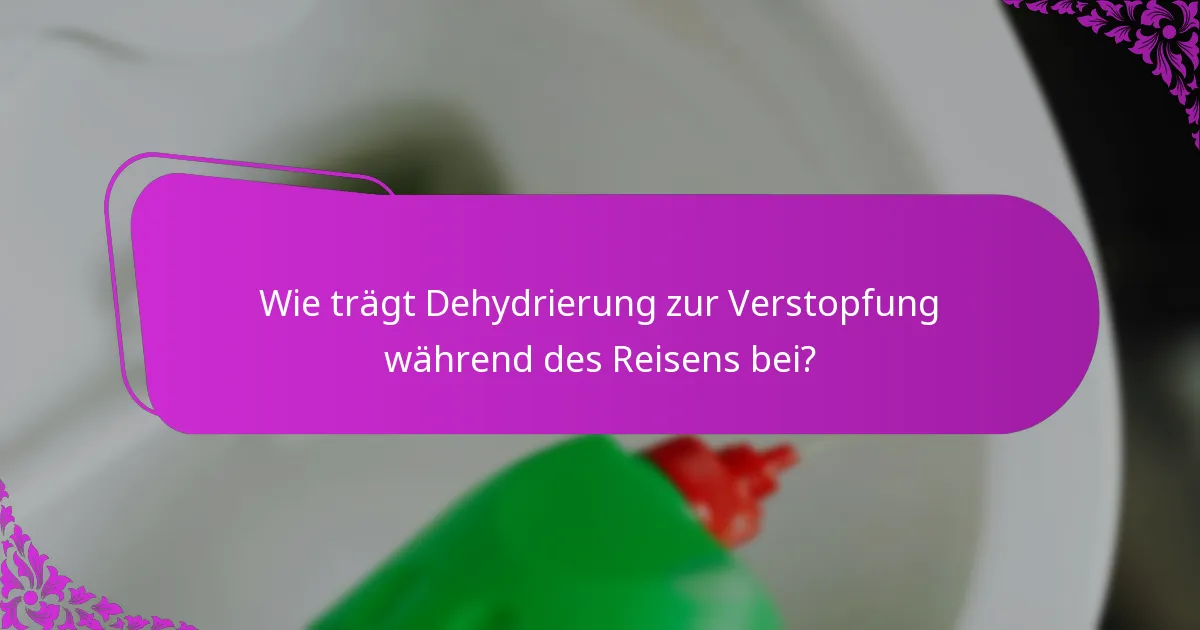 Wie trägt Dehydrierung zur Verstopfung während des Reisens bei?