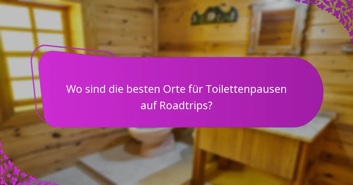 Wo sind die besten Orte für Toilettenpausen auf Roadtrips?
